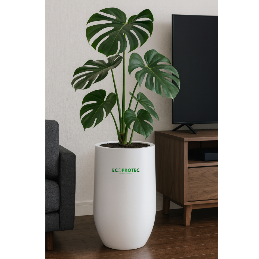 Round Composite Planters (Tall & Low) – Size 46 x 50 cm Durable, Modern Decorative Planters for Indoor & Outdoor Spaces - Ảnh 7