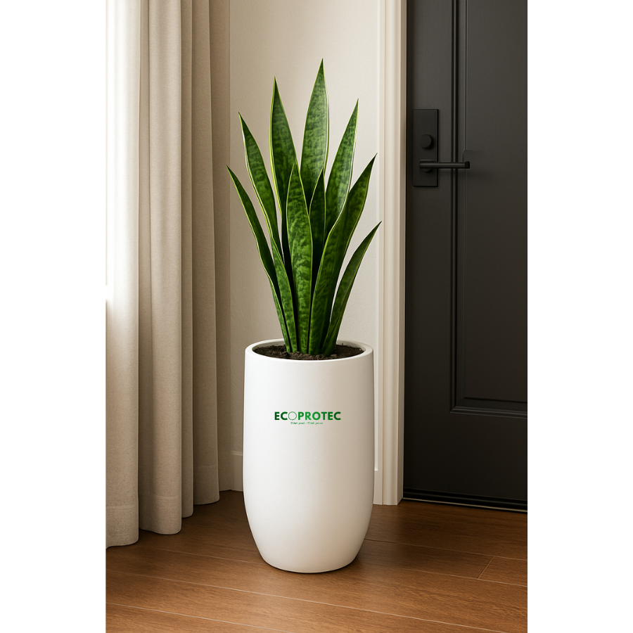 Round Composite Planters (Tall & Low) – Size 46 x 50 cm Durable, Modern Decorative Planters for Indoor & Outdoor Spaces - Ảnh 5