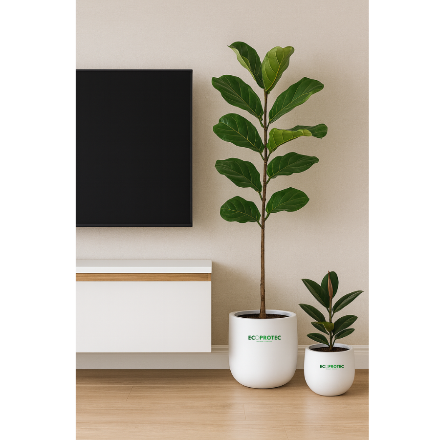 Round Composite Planters (Tall & Low) – Size 46 x 50 cm Durable, Modern Decorative Planters for Indoor & Outdoor Spaces - Ảnh 3